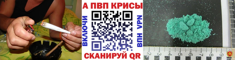 APVP СК КРИС  что такое   Багратионовск 